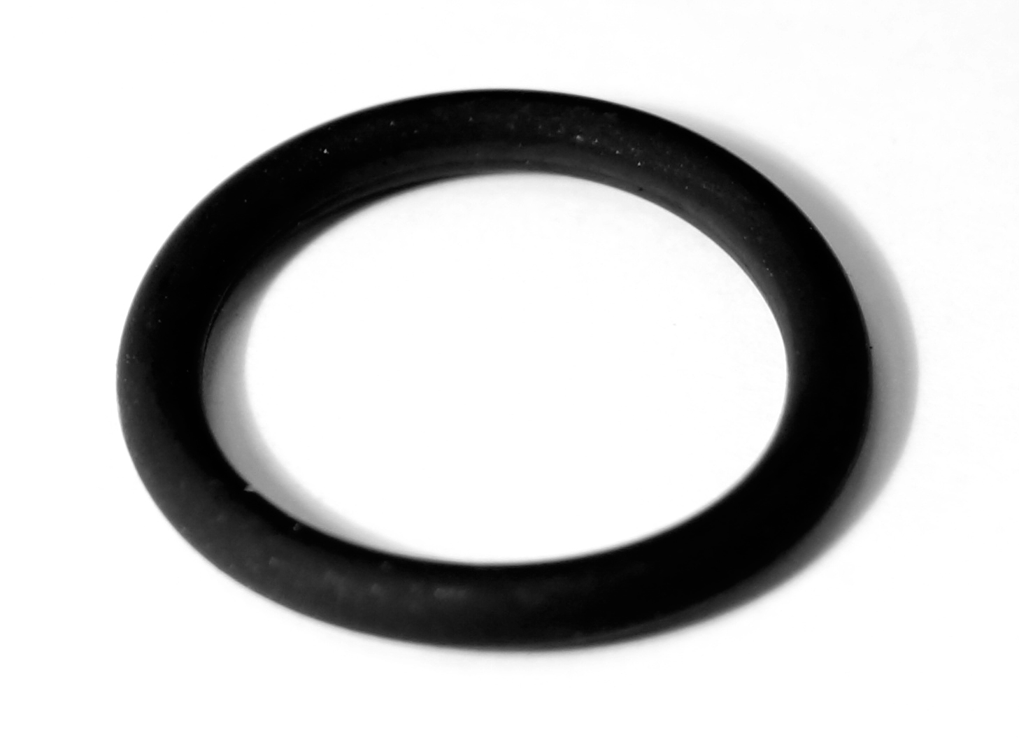 O-ring-EVR-for-holder--E13535-pack-of-2